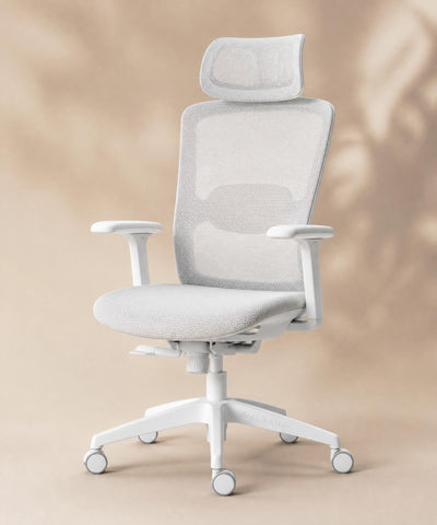 Fauteuil ergonomique Alba — Blanc