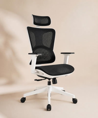 Fauteuil ergonomique Alba — Noir et blanc