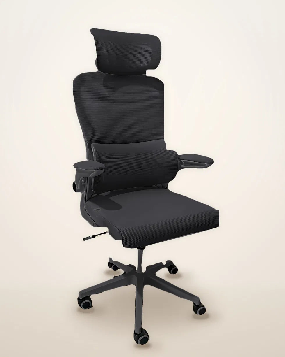 Fauteuil ergonomique Alba