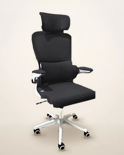 Fauteuil ergonomique Alba