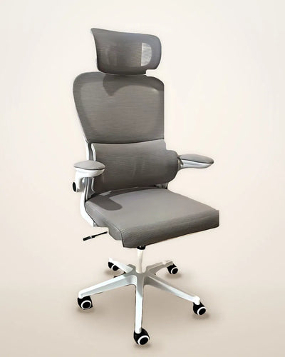 Fauteuil ergonomique Alba