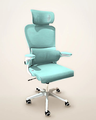 Fauteuil ergonomique Alba